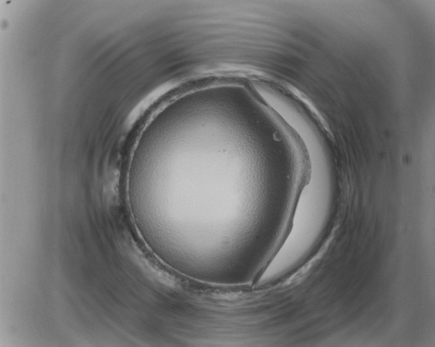 X0000085311066200703231918