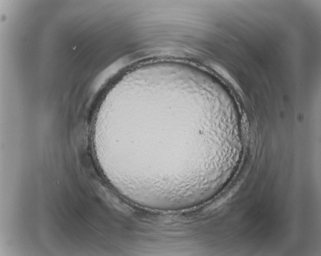 X0000085311067200703231918