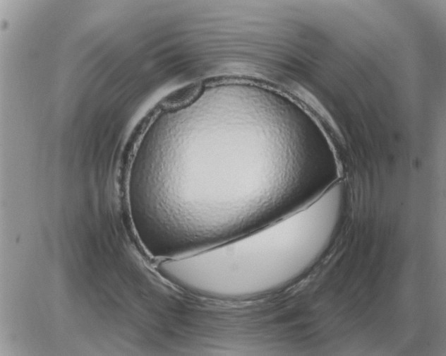 X0000085311068200703231918