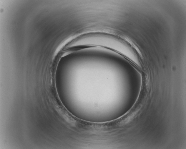 X0000085311069200703231918