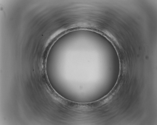 X0000085311070200703231918