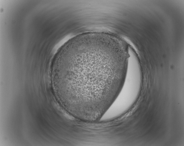 X0000085311071200703231918