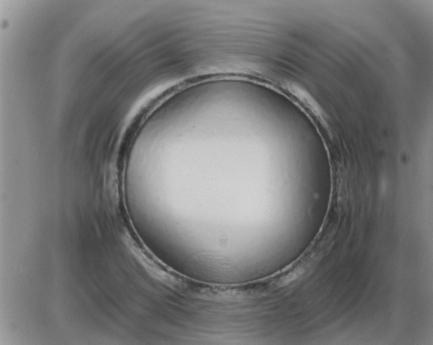 X0000085311072200703231918