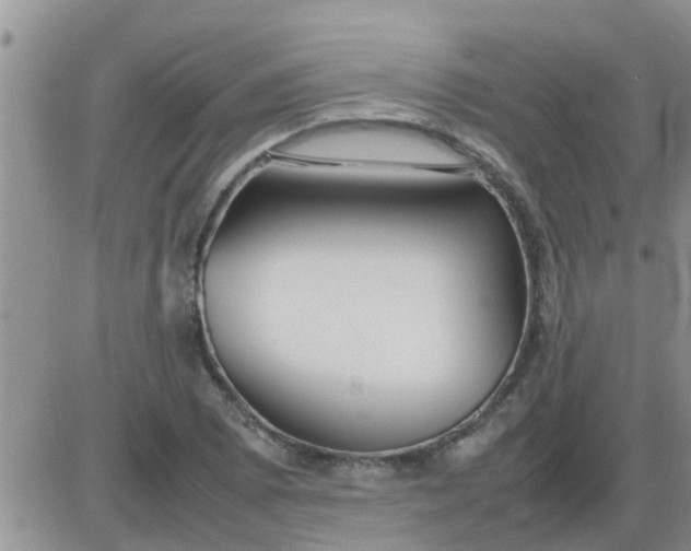 X0000085311073200703231918