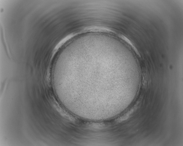 X0000085311074200703231918