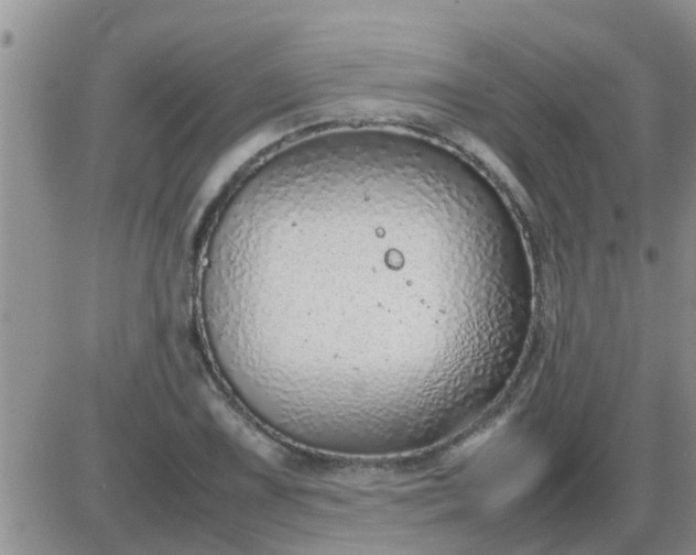 X0000085311075200703231918