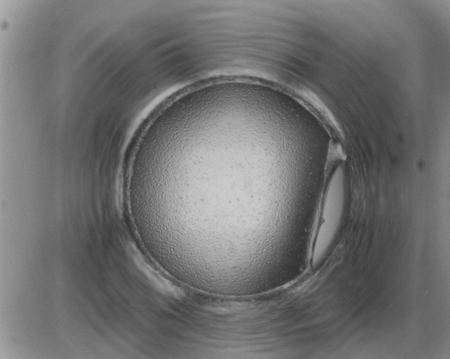 X0000085311076200703231918