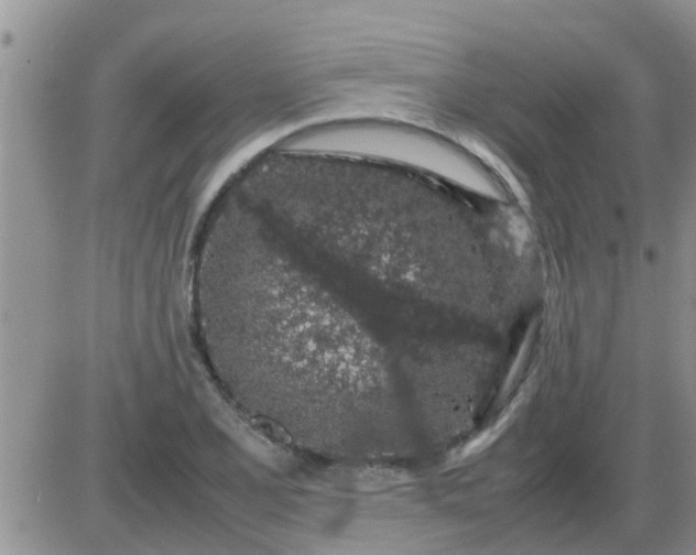 X0000085311077200703231918