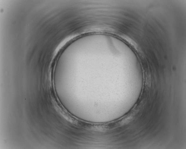 X0000085311078200703231918