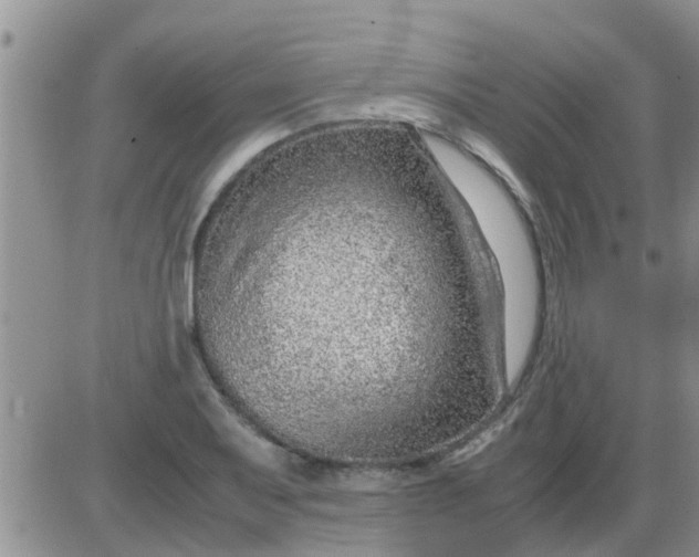 X0000085311079200703231918