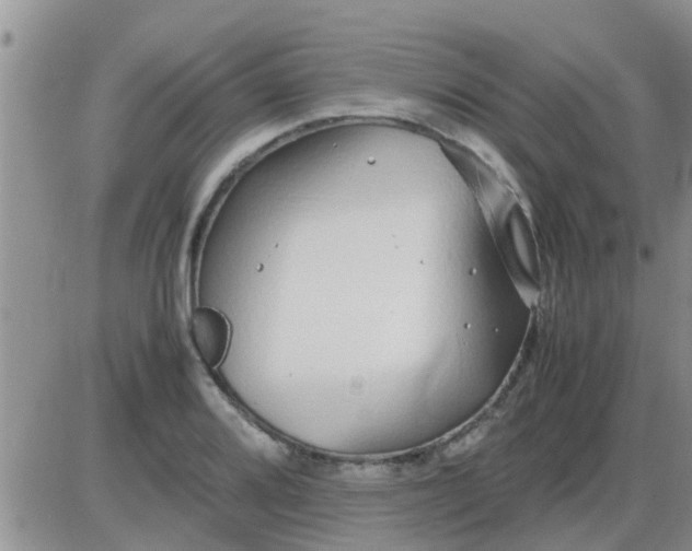 X0000085311080200703231918