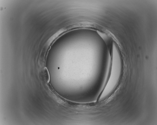 X0000085311081200703231917