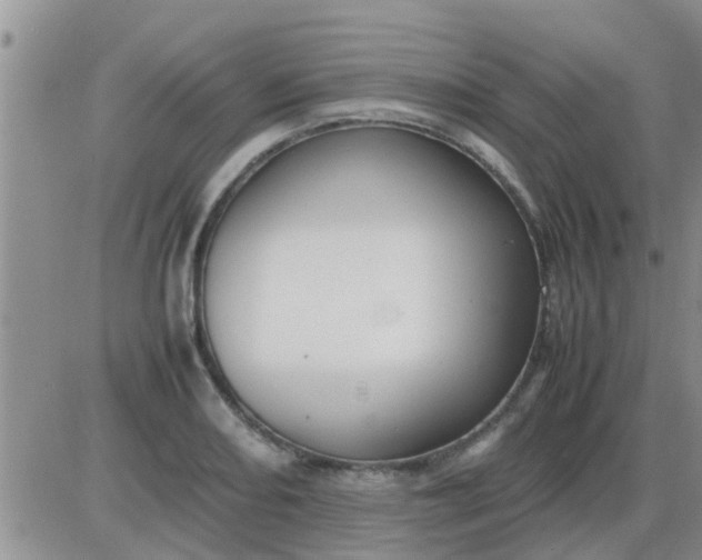 X0000085311082200703231917