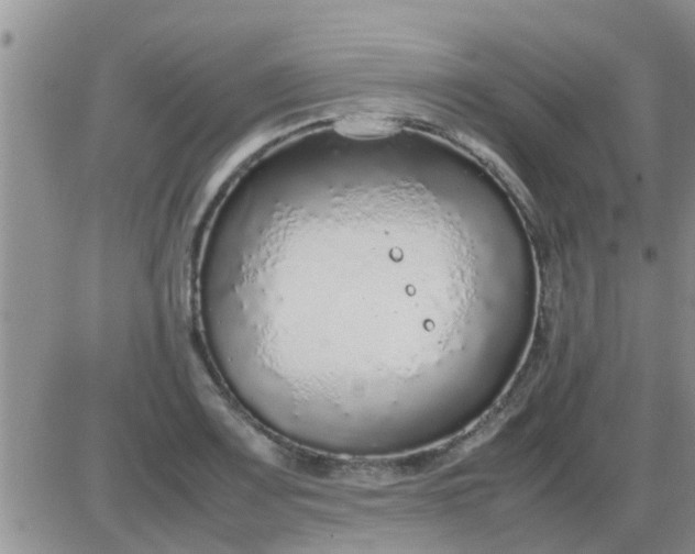 X0000085311083200703231917