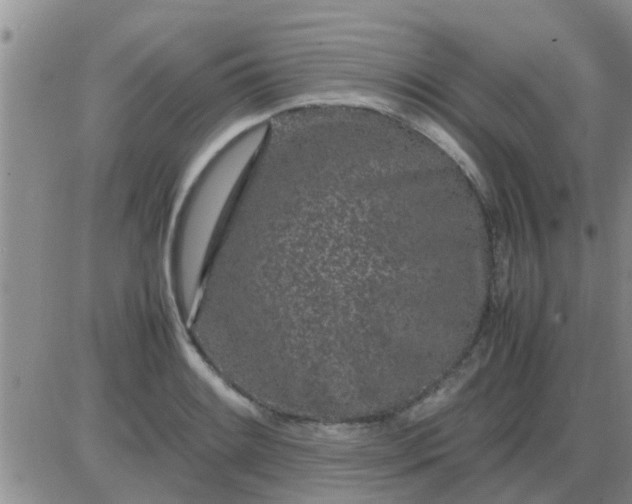 X0000085311084200703231917