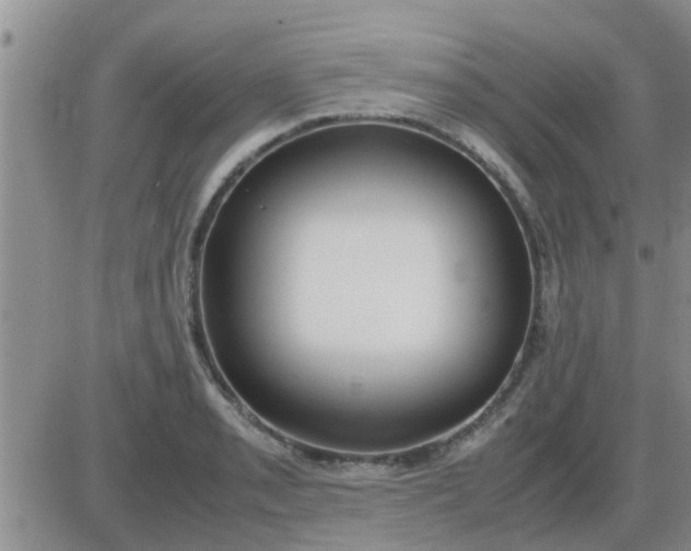 X0000085311085200703231917