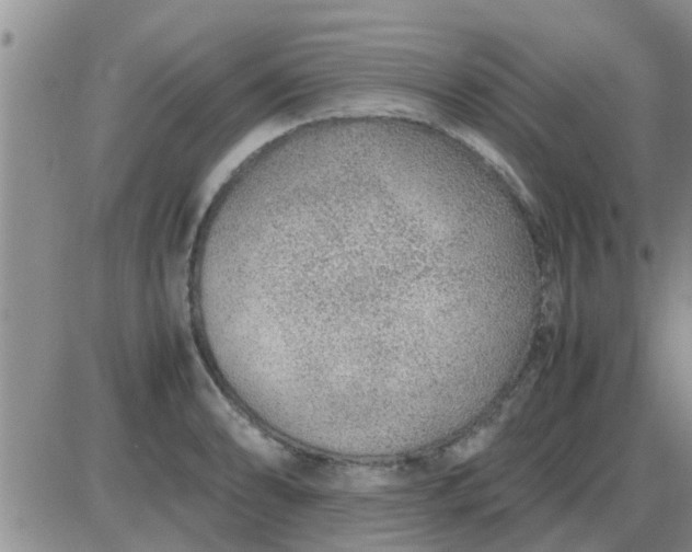 X0000085311086200703231917