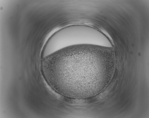 X0000085311087200703231917