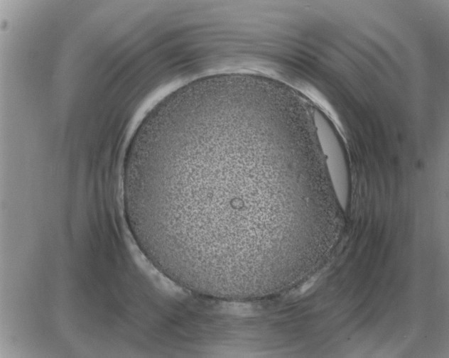 X0000085311088200703231917