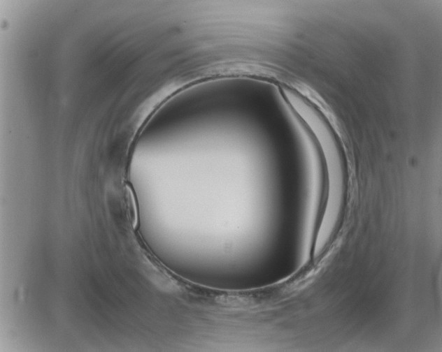 X0000085311089200703231917