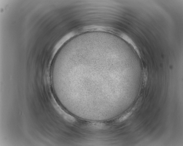 X0000085311090200703231917