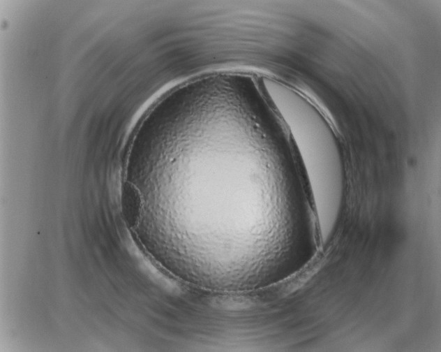 X0000085311092200703231917