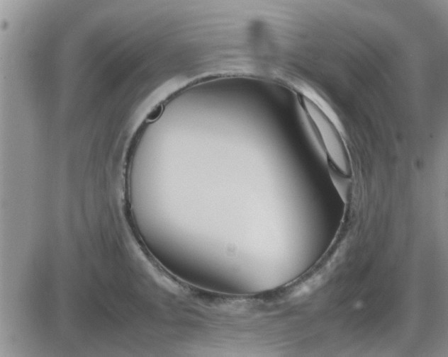 X0000085311093200703231917