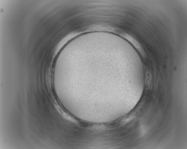 X0000085311094200703231917