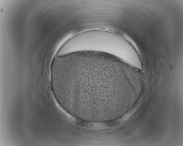 X0000085311095200703231917