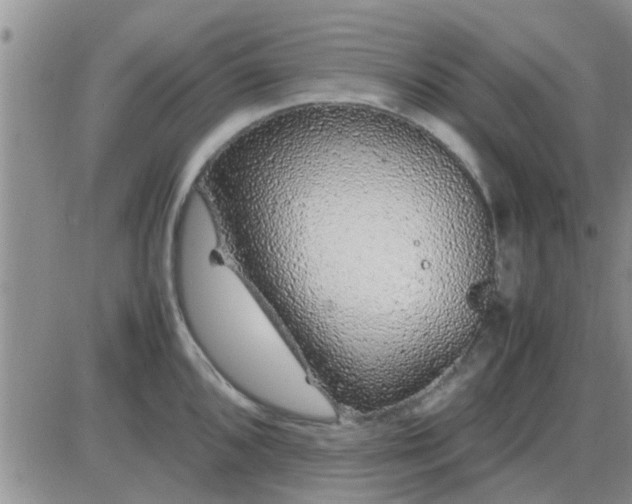 X0000085311096200703231917