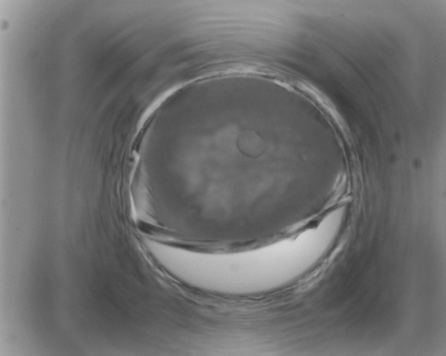 X0000085311097200703231917