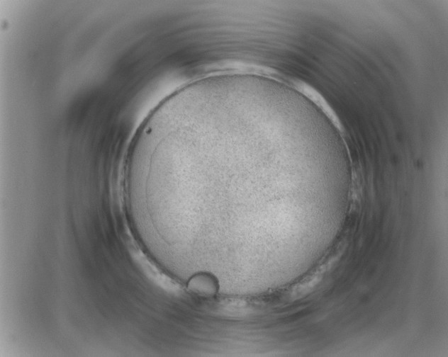 X0000085311098200703231917