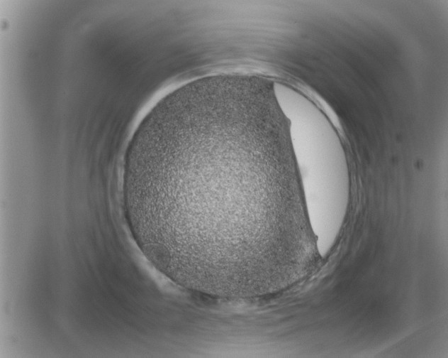 X0000085311099200703231917