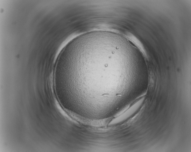 X0000085311100200703231917