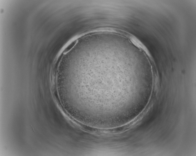 X0000085311101200703231917