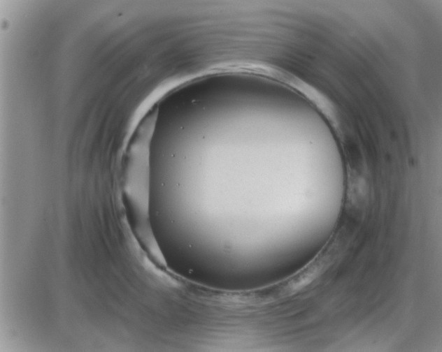 X0000085311102200703231917