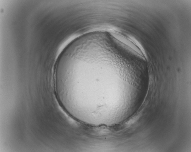 X0000085311103200703231917