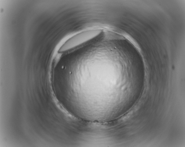 X0000085311104200703231917