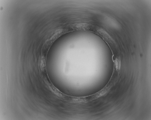 X0000085311107200703231916