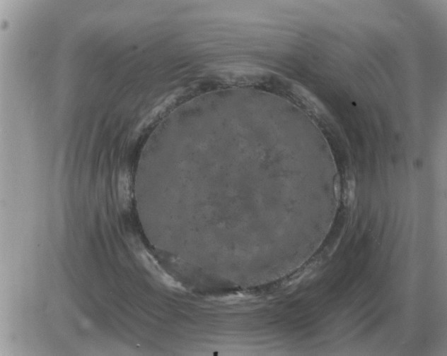 X0000085311108200703231916