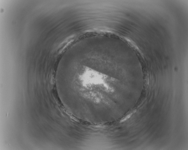 X0000085311110200703231916
