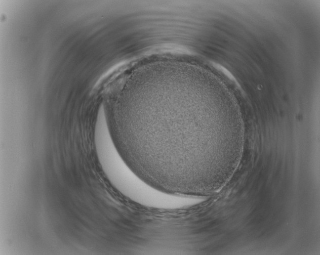 X0000085311112200703231916