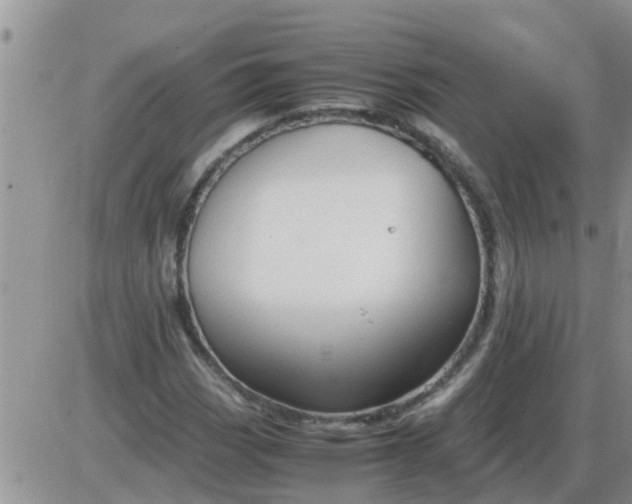 X0000085311113200703231916