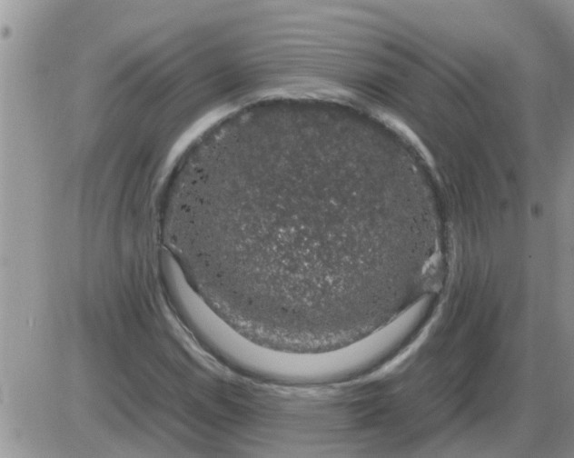 X0000085311114200703231916