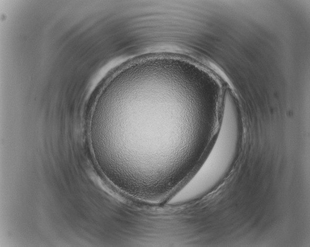 X0000085311116200703231916