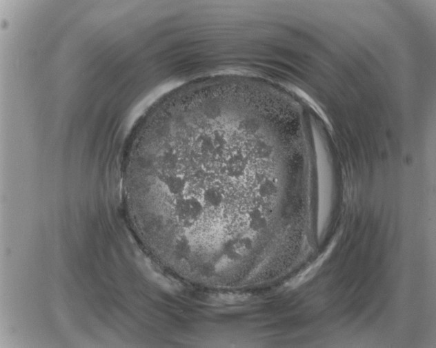 X0000085311117200703231917