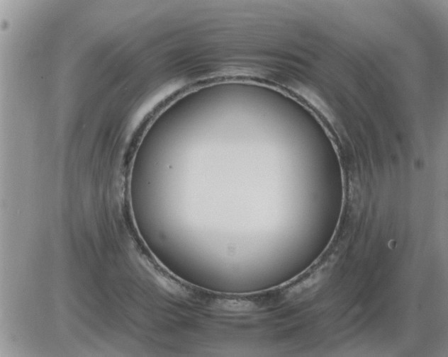 X0000085311119200703231917