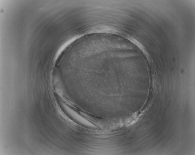 X0000085311120200703231917