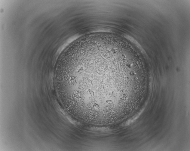 X0000085311121200703231917