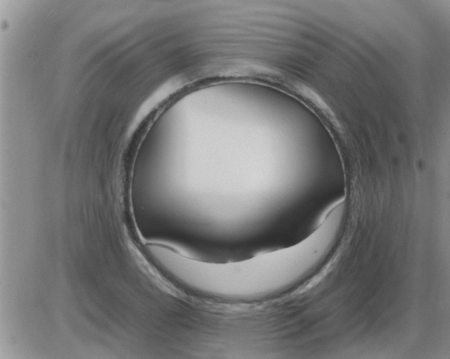 X0000085311122200703231917